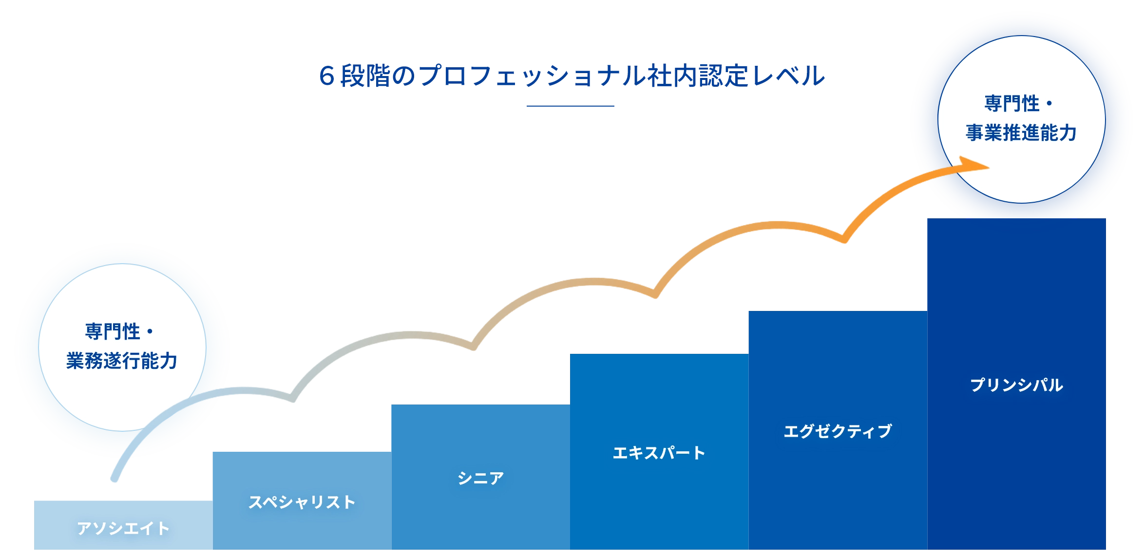 6段階のプロフェッショナル社内認定レベル図。アソシエイト→スペシャリスト→シニア→エキスパート→エグゼクティブ→プリンシパルと成長し、専門性・業務遂行能力から専門性・事業推進能力へ移行する流れ