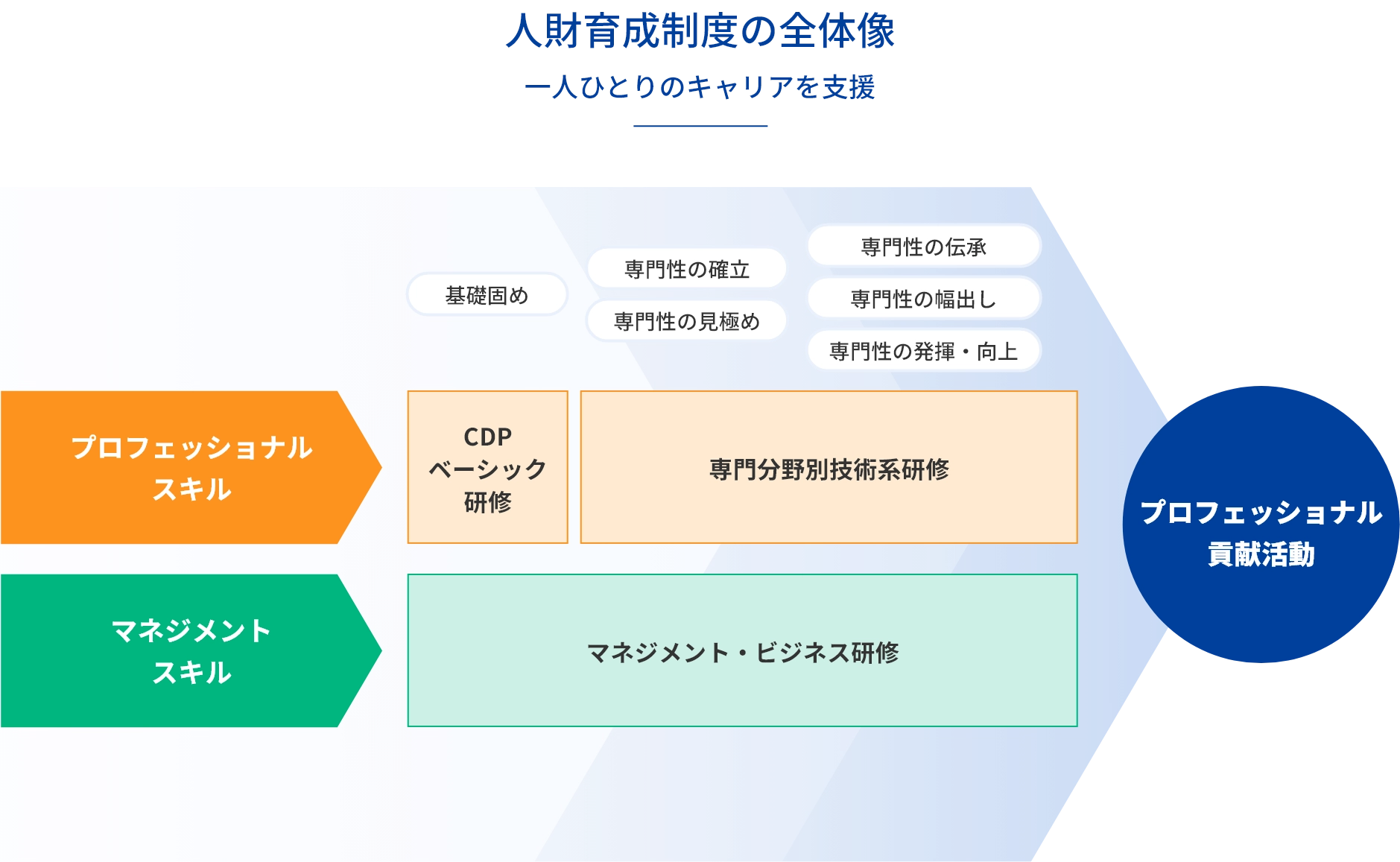 人財育成制度の全体像を示す図。プロフェッショナルスキルとマネジメントスキルを基盤に、CDPベーシック研修、専門分野別技術系研修、マネジメント・ビジネス研修を通じて専門性を確立・発揮し、最終的にプロフェッショナル貢献活動へつなげる